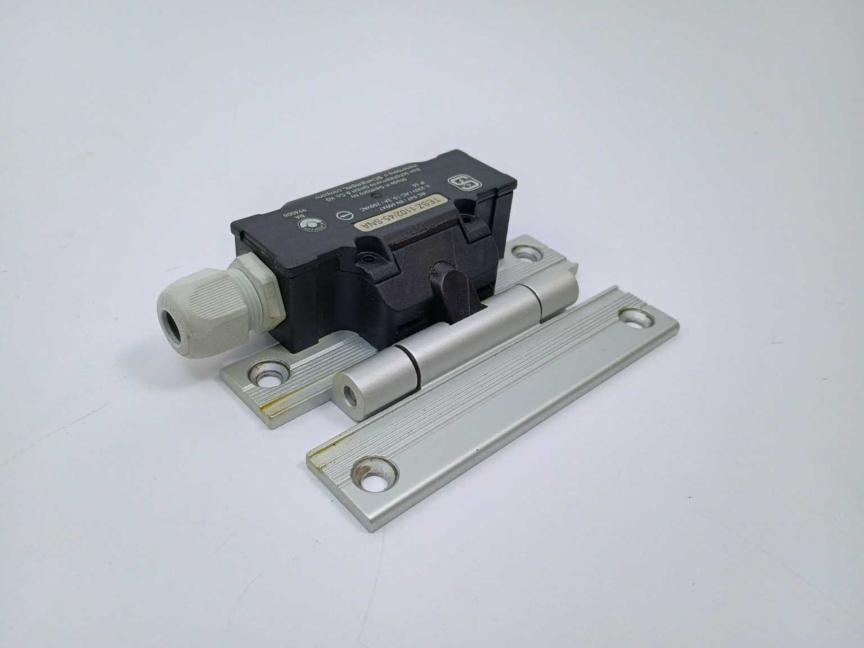 Schmersal TESZ1102/45-SNA Hinge Switch