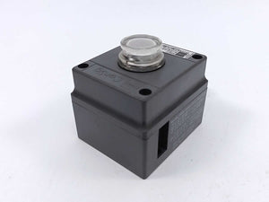 Stahl 8040/11 Pushbutton