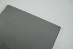 NEDAP 9981608 AP7803 Access Point