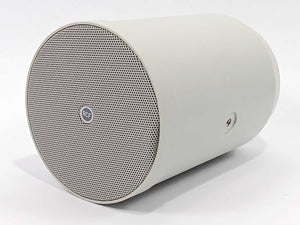 RCF DP 4EN Sound Projector Speaker 100V 10W