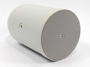 RCF DP 4EN Sound Projector Speaker 100V 10W