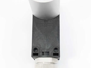 OMRON D4NH-1BBC Door Switch