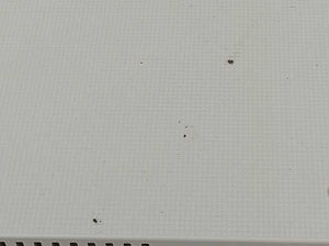 EIZO 0FTB0003 FlexScan S1721 Color LCD Monitor 43 cm