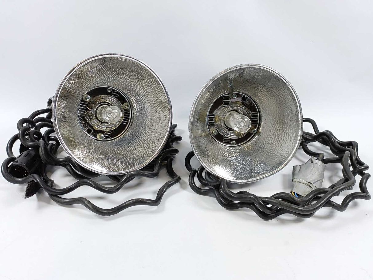 Profoto 220-110V Photography Light: Batch 2pcs + Accessories