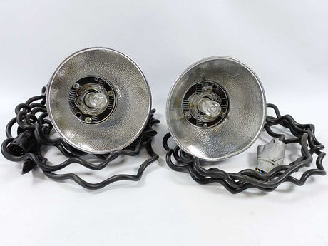 Profoto 220-110V Photography Light: Batch 2pcs + Accessories