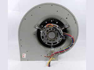 Dayton Electric 4C590B Steel Blower, Direct Drive, Wheel Diameter: 24.1cm