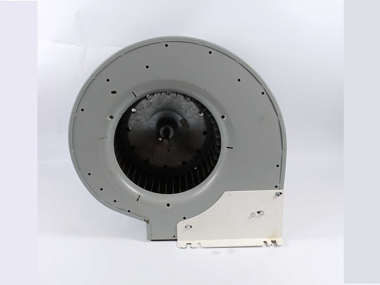 Dayton Electric 4C590B Steel Blower, Direct Drive, Wheel Diameter: 24.1cm