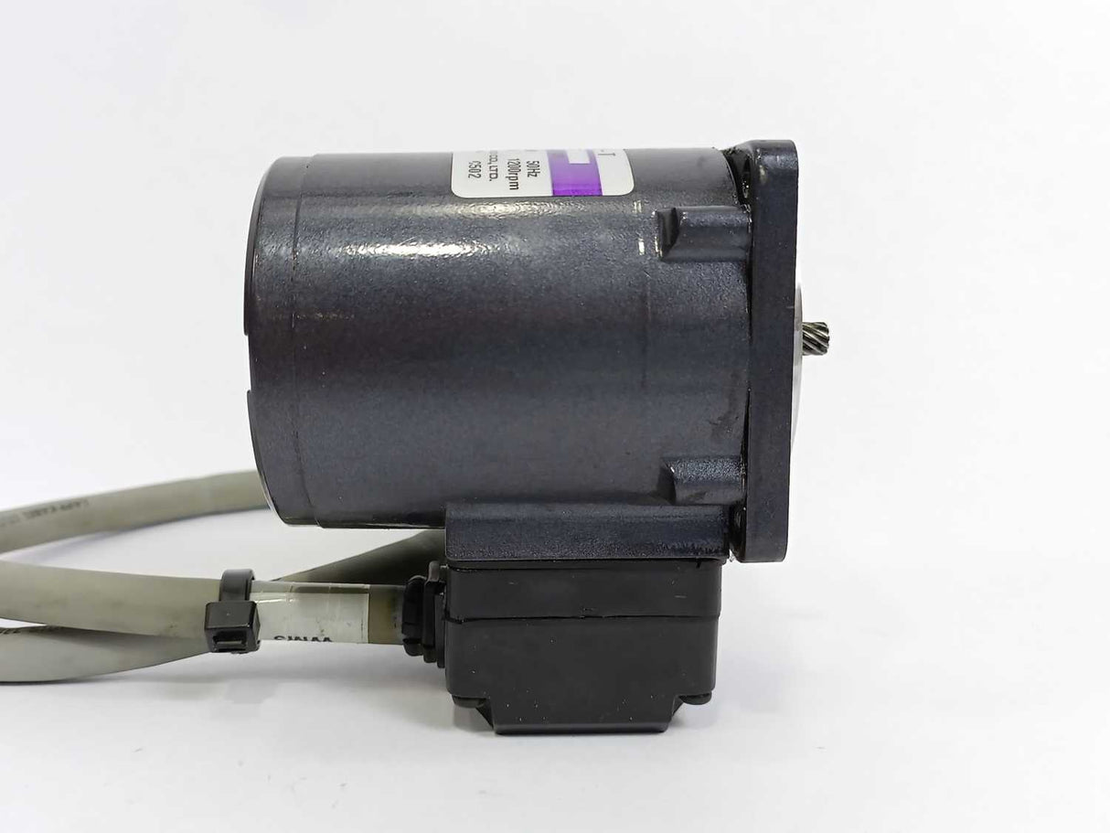 SPG S6I06GX-T Induction Motor