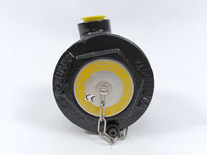 Thermocouple PT100-B-4W-6MM Resistance Temperature Detector
