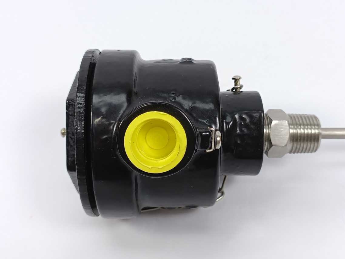 Thermocouple PT100-B-4W-6MM Resistance Temperature Detector