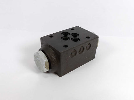 Aron / Brevini AM3UPAB1003 Check Valve