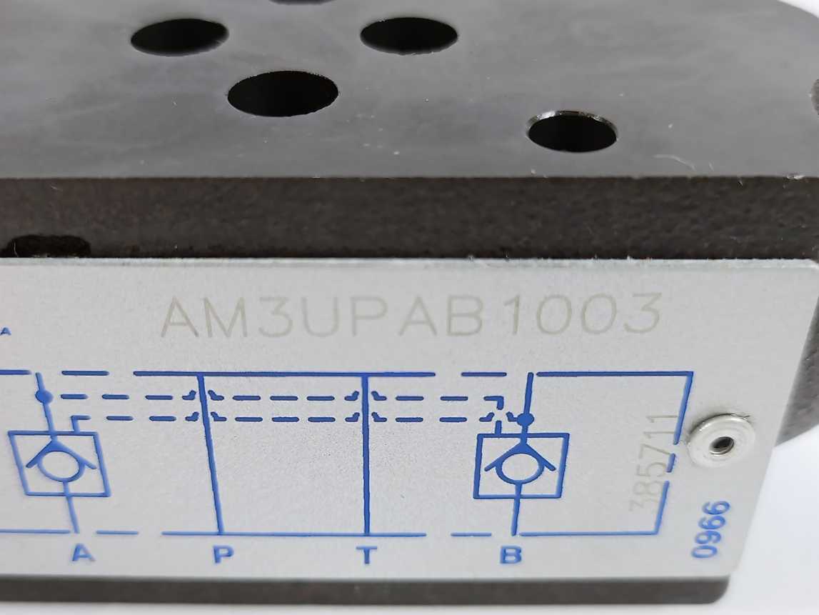 Aron / Brevini AM3UPAB1003 Check Valve