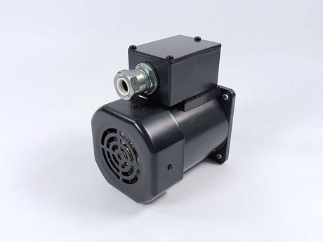 Oriental Motor E0429-354 Induction Motor