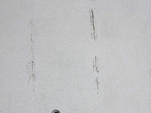 Sinetic PPC-Ci190-N7072 I-View Panel PC