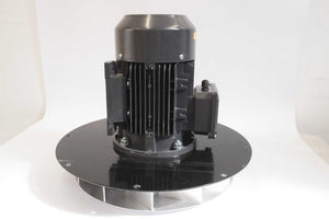 Shanghai Top Motor Co., Ltd. TM 90L1-2 Three-Phase Induction Motor