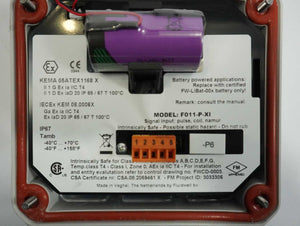 Fluidwell F011-P-XI F011-P-XI Flow Rate Indicator (Intrinsically Safe)