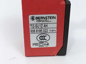 Bernstein 6088185022 Ti2-SU1Z AH TI2 Safety Hinge Switch