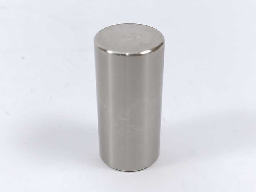 Mettler Toledo ME-47900 OIML FI 100g Accuracy Class Calibration Weight