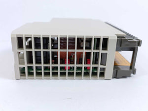 AEG Schneider Automation DAP 208/AS-BDAP-208 Descrete Output, Relay