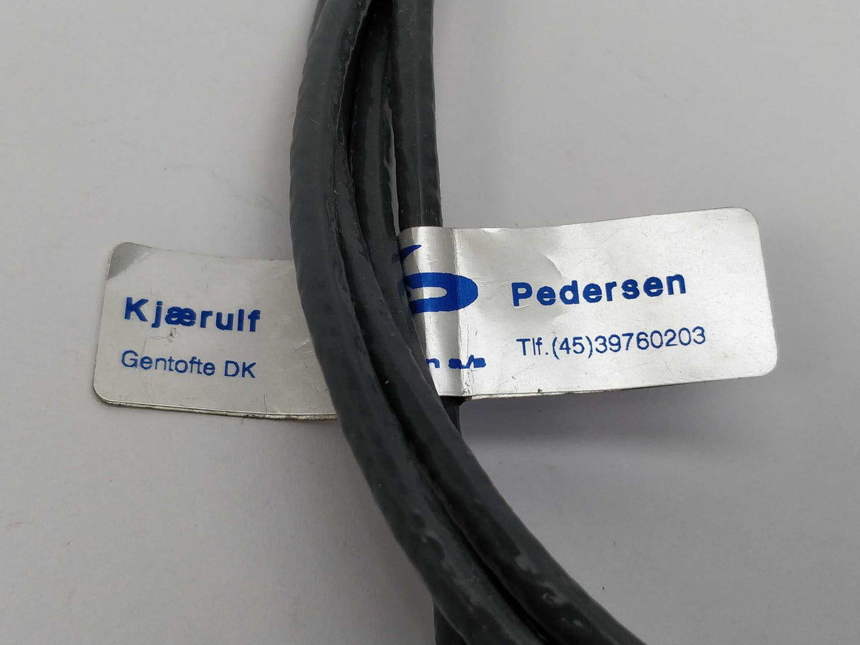 Kjærulf Pedersen 5751081 Temperature sensor PT100