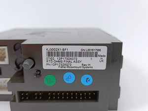 Fisher-Rosemount Systems 12P1732X072 KJ3002X1-BF1 RTD module