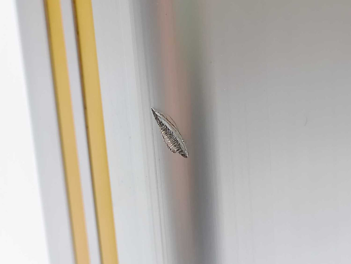 Parker ETH032M05B3K1BFFN0120BUGE High Force Electric Cylinder/Linear Actuator