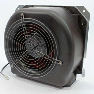 AC motors