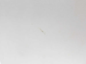 LUST VF1424L,HF,OP2,S56 Frequency Drive Inverter W: 3F460-025.233