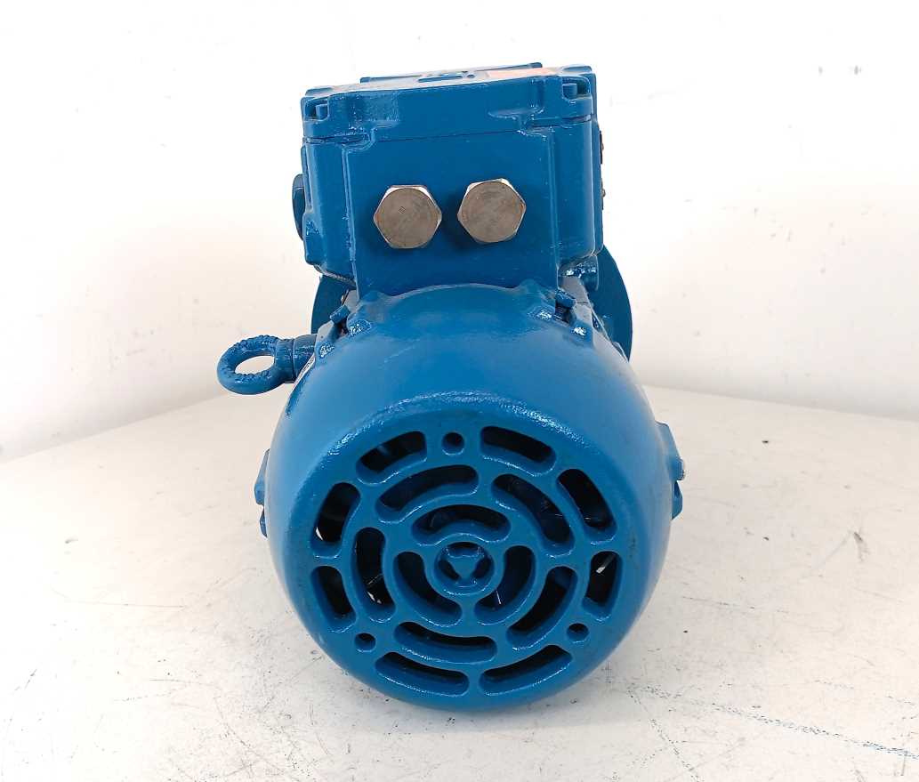 WEG W22Xdb Motor