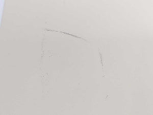 Philips PM2534 Fluke & Philips System Multimeter