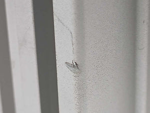 SMC Pneumatics MGF40-30 Air Lift Cylinder Max. 1.0MPa