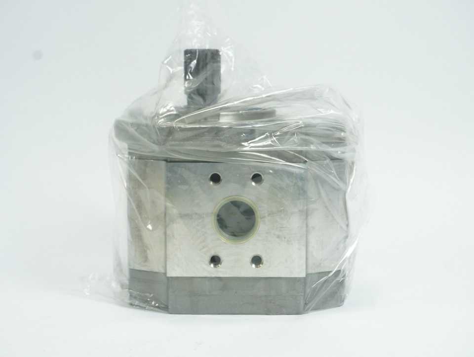 HPI P1ASN3020HL30A13N High-Pressure Hydraulic Gear Pump