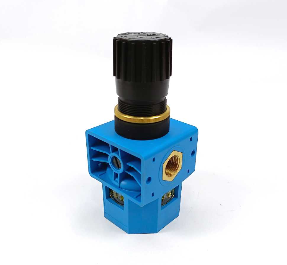 Festo 150054 LR-1/2-S-B Pressure Regulator