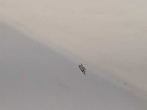 GENSONIC Gen 3 Ultrasonic Stencil Cleaning system