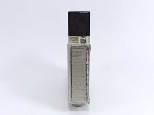 Schneider Electric TSXDSY16T2 Discrete Output Module w/ TSXBLY01 Terminal Block