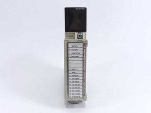 Schneider Electric TSXDEY16D2 Modicon Premium w/ TSXBLY01 Terminal Block