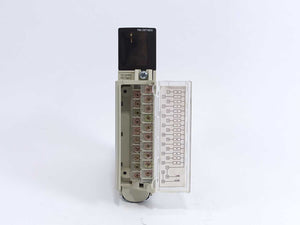 Schneider Electric TSXDEY16D2 Modicon Premium w/ TSXBLY01 Terminal Block
