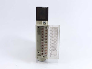 Schneider Electric TSXDEY16A2 w/ TSXBLY01 Terminal Block Discrete Input Module