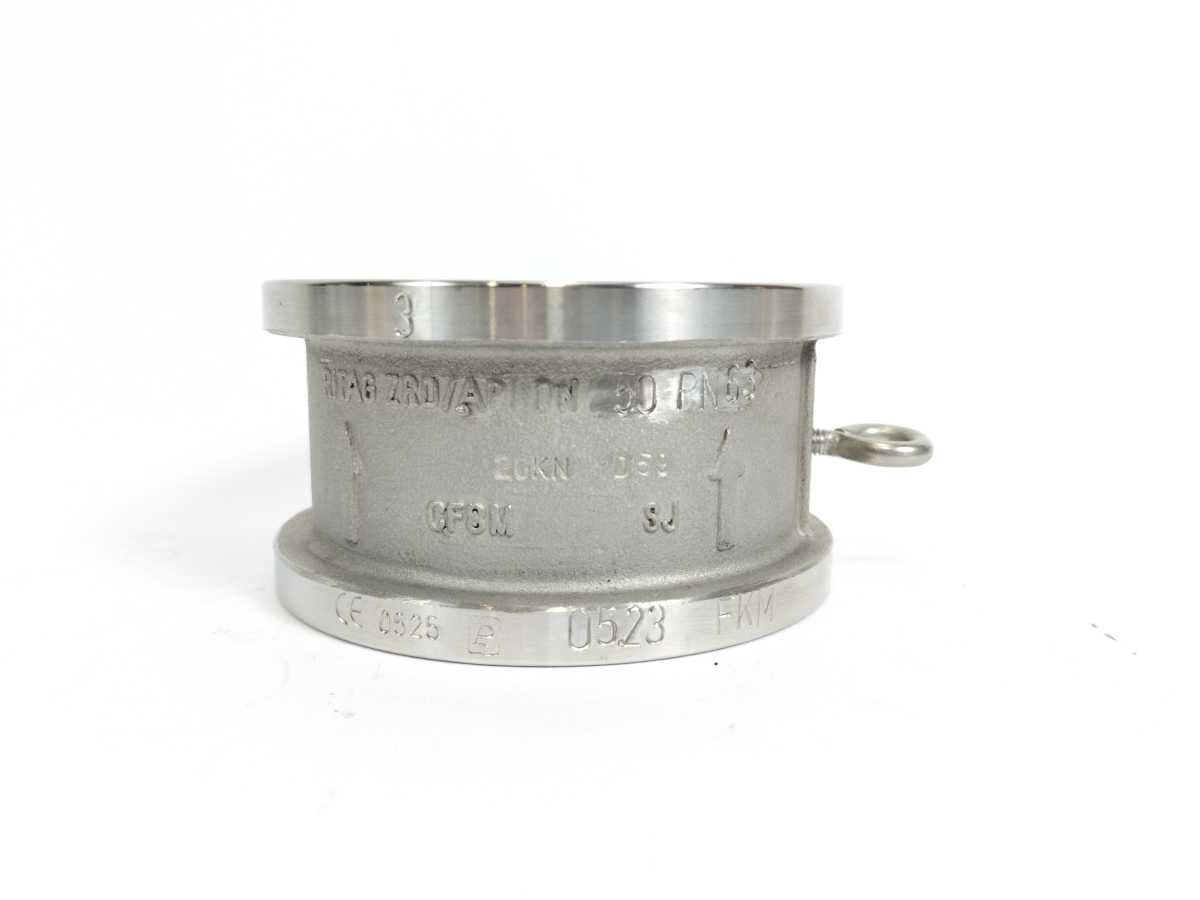 RITAG ZRD/API DN50 PN63 Wafer Type Check Valve