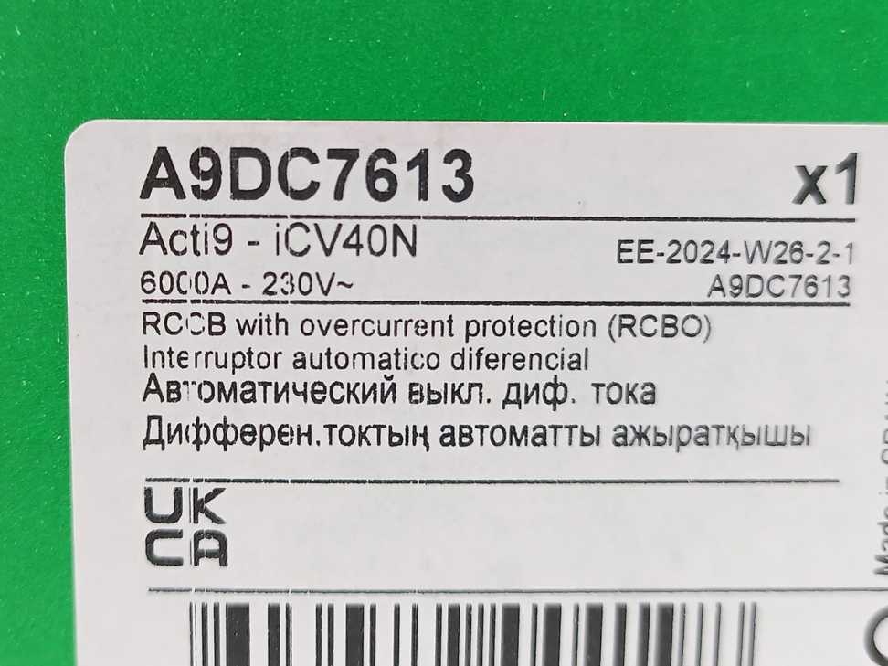 Schneider Electric A9DC7613 RCCB W/ Overcurrent Protection (RCBO)