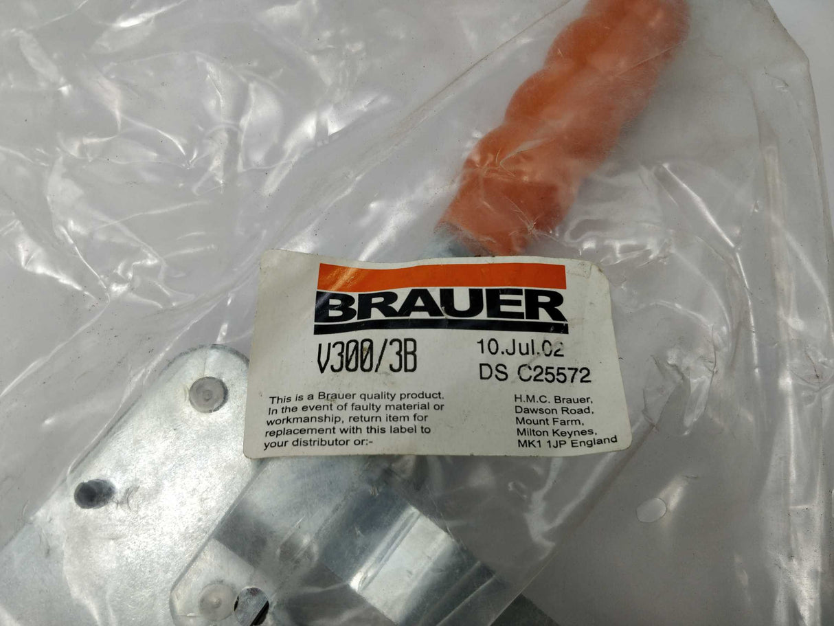 Brauer V300/3B Vertical Toggle Clamp