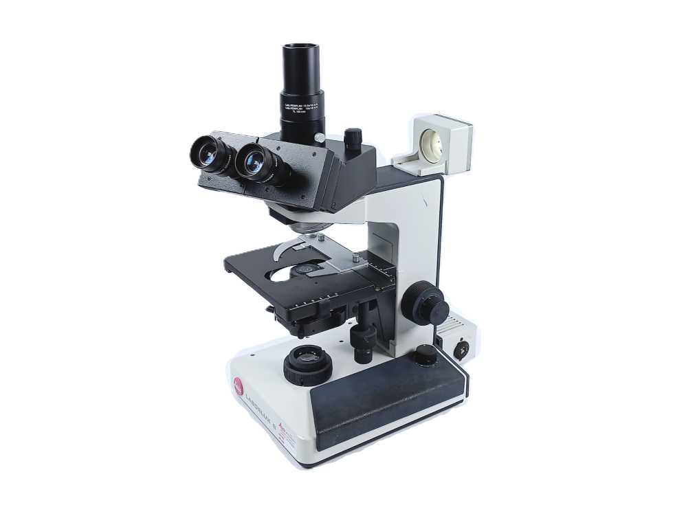 Leitz Laborlux S Microscope, No optics w/ Periplan 10x/18