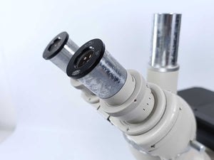 Olympus Tokyo 212498 Microscope